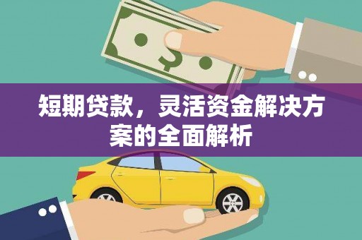 苑里短期贷款，灵活资金解决方案的全面解析