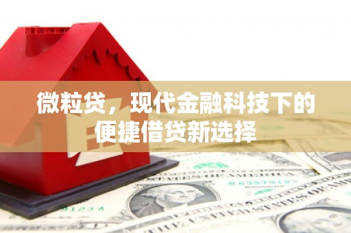 苑里微粒贷，现代金融科技下的便捷借贷新选择