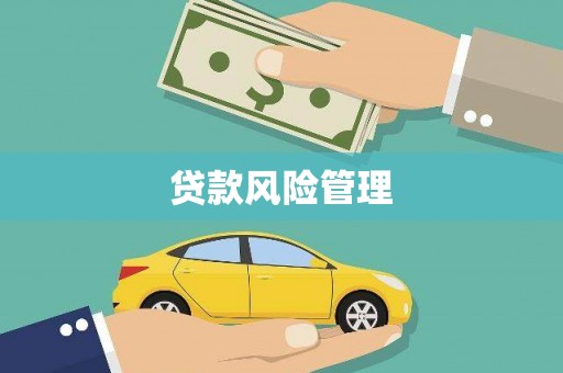 苑里贷款风险管理