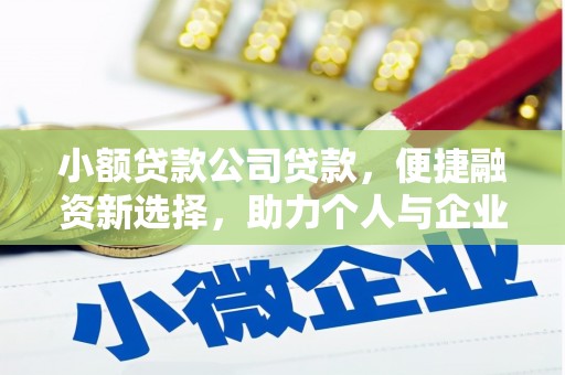 苑里小额贷款公司贷款，便捷融资新选择，助力个人与企业成长