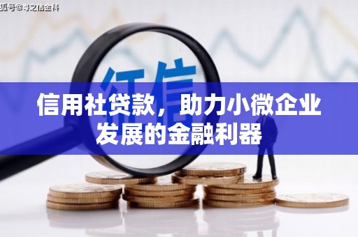苑里信用社贷款，助力小微企业发展的金融利器