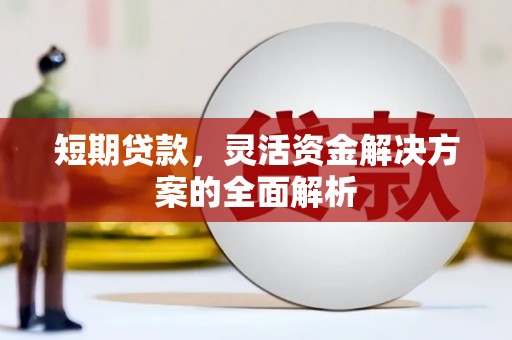 苑里短期贷款，灵活资金解决方案的全面解析