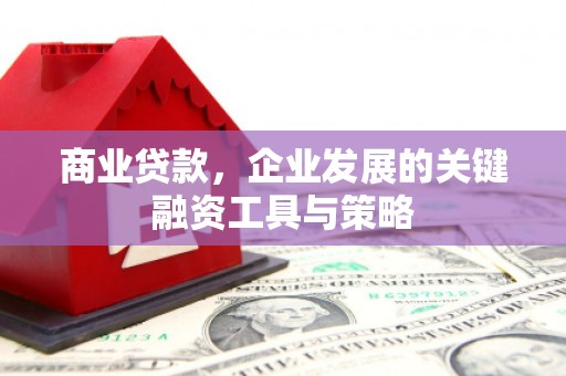 苑里商业贷款，企业发展的关键融资工具与策略