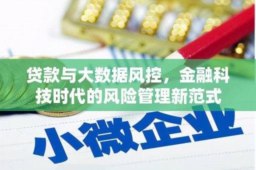 苑里贷款与大数据风控，金融科技时代的风险管理新范式