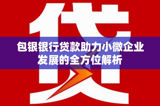 苑里包银银行贷款助力小微企业发展的全方位解析