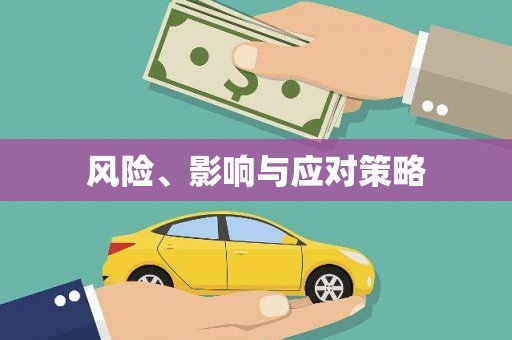 苑里风险、影响与应对策略