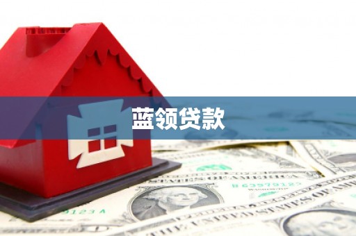 苑里蓝领贷款