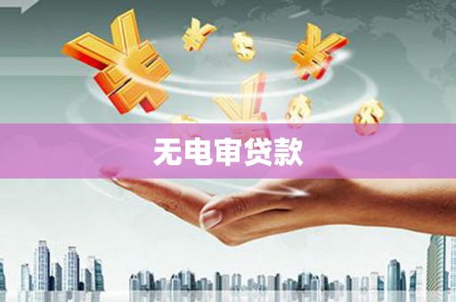 苑里无电审贷款