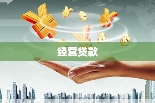 苑里经营贷款