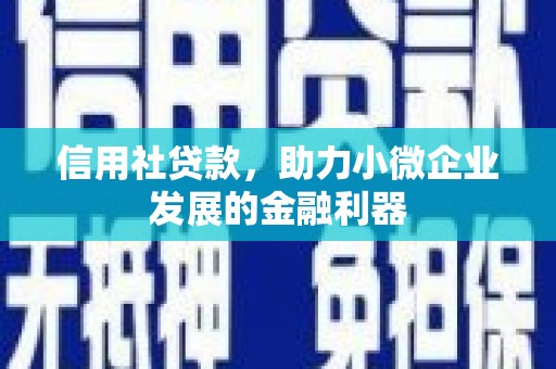 苑里信用社贷款，助力小微企业发展的金融利器