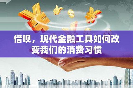 苑里借呗，现代金融工具如何改变我们的消费习惯
