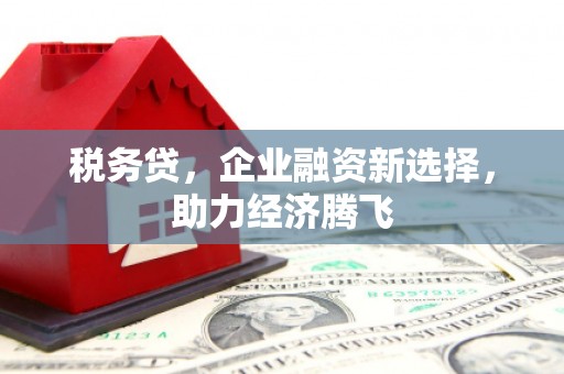 苑里税务贷，企业融资新选择，助力经济腾飞