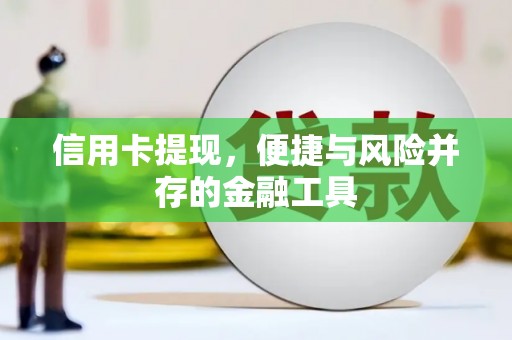苑里信用卡提现，便捷与风险并存的金融工具