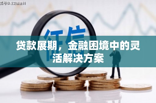 苑里贷款展期，金融困境中的灵活解决方案