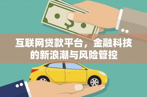 苑里互联网贷款平台，金融科技的新浪潮与风险管控