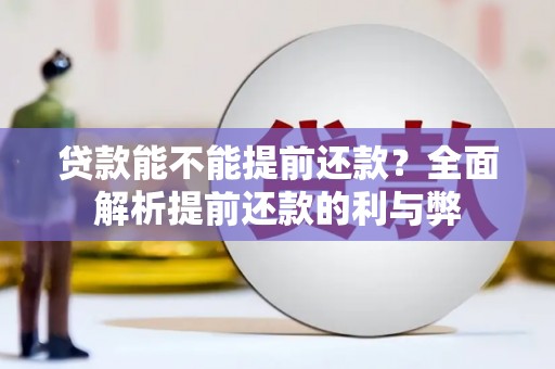 苑里贷款能不能提前还款？全面解析提前还款的利与弊