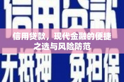 苑里信用贷款，现代金融的便捷之选与风险防范