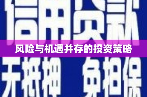 苑里风险与机遇并存的投资策略