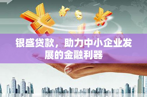 苑里银盛贷款，助力中小企业发展的金融利器