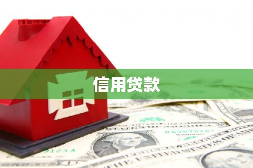 苑里信用贷款