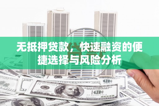 苑里无抵押贷款，快速融资的便捷选择与风险分析