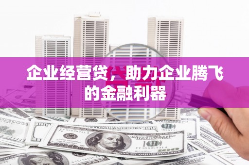 苑里企业经营贷，助力企业腾飞的金融利器