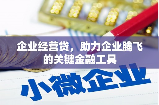 苑里企业经营贷，助力企业腾飞的关键金融工具