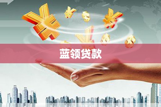 苑里蓝领贷款
