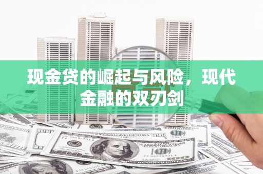苑里现金贷的崛起与风险，现代金融的双刃剑