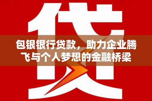 苑里包银银行贷款，助力企业腾飞与个人梦想的金融桥梁