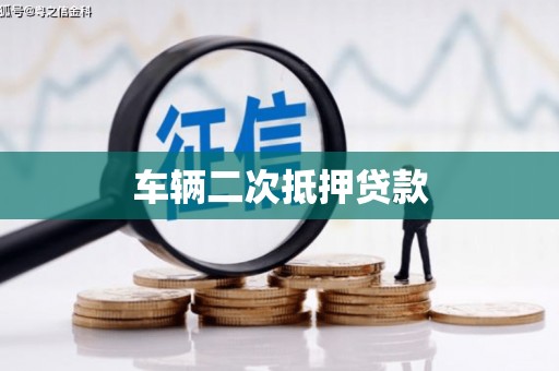 苑里车辆二次抵押贷款