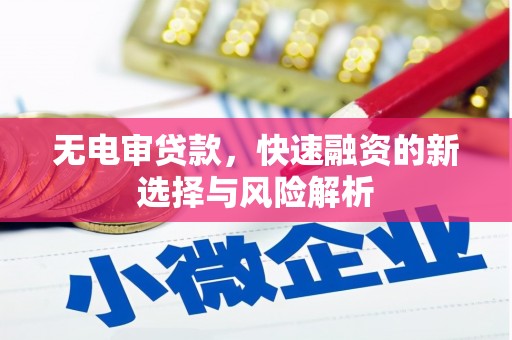 苑里无电审贷款，快速融资的新选择与风险解析