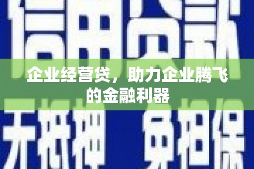 苑里企业经营贷，助力企业腾飞的金融利器
