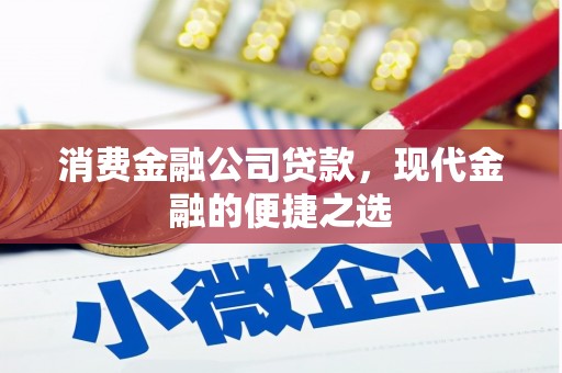 苑里消费金融公司贷款，现代金融的便捷之选