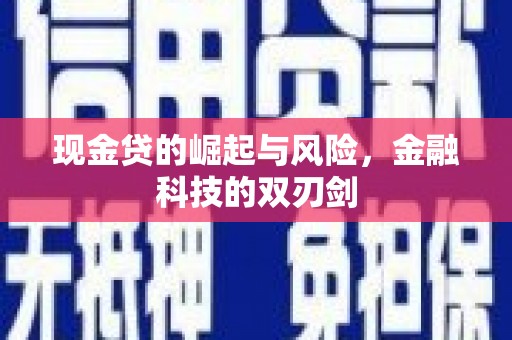 苑里现金贷的崛起与风险，金融科技的双刃剑