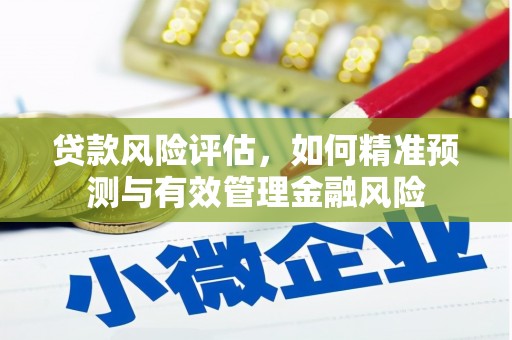 苑里贷款风险评估，如何精准预测与有效管理金融风险