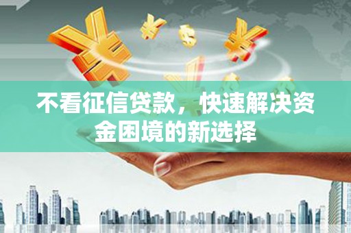 苑里不看征信贷款，快速解决资金困境的新选择
