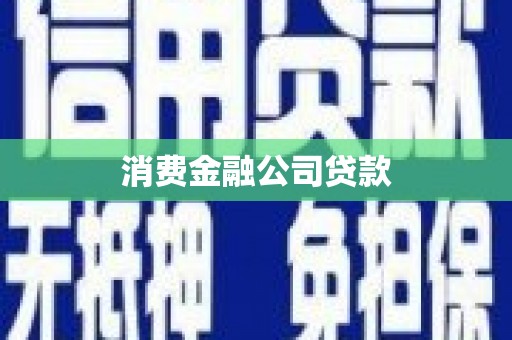 苑里消费金融公司贷款
