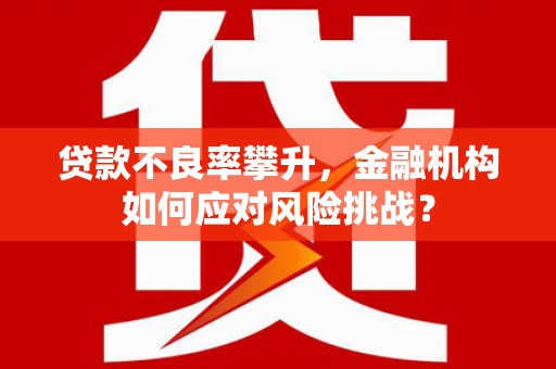 苑里贷款不良率攀升，金融机构如何应对风险挑战？