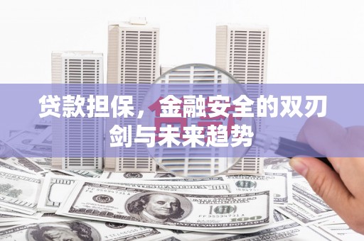 苑里贷款担保，金融安全的双刃剑与未来趋势
