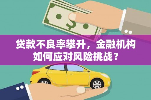 苑里贷款不良率攀升，金融机构如何应对风险挑战？