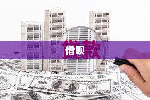 苑里借呗