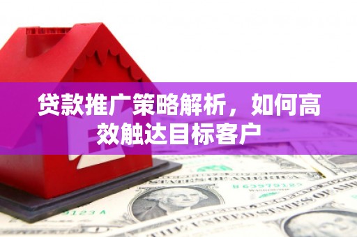 苑里贷款推广策略解析，如何高效触达目标客户