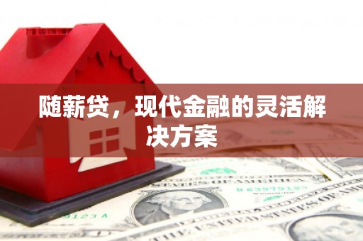 苑里随薪贷，现代金融的灵活解决方案
