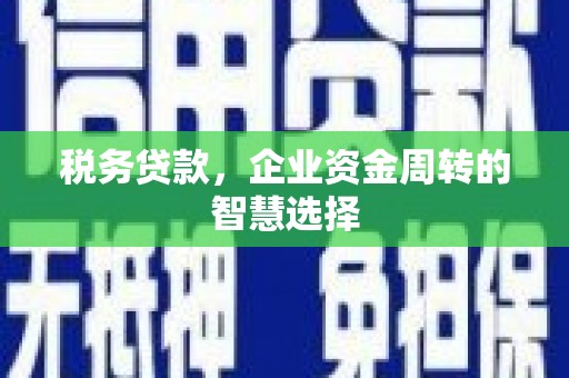 苑里税务贷款，企业资金周转的智慧选择