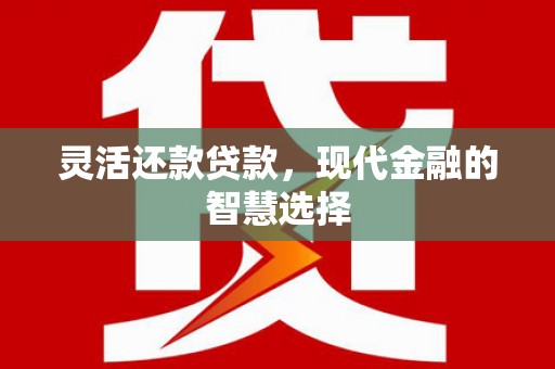苑里灵活还款贷款，现代金融的智慧选择