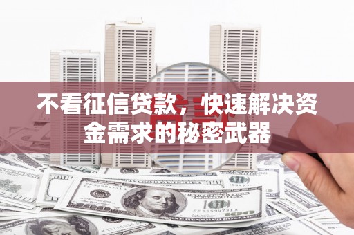 苑里不看征信贷款，快速解决资金需求的秘密武器