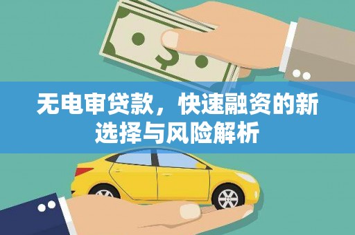 苑里无电审贷款，快速融资的新选择与风险解析
