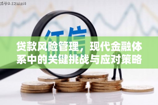 苑里贷款风险管理，现代金融体系中的关键挑战与应对策略