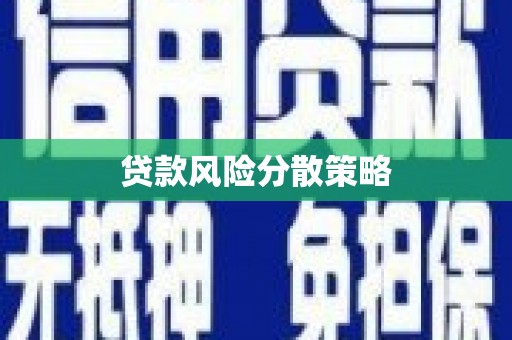 苑里贷款风险分散策略